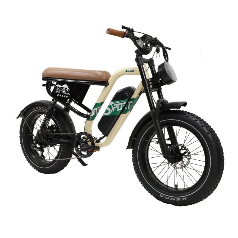 OneSport W66 500W 20" Fat Bike 648Wh Full Suspension E-Bike 48V 13.5Ah Battery Support App