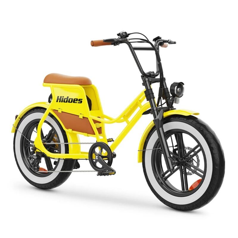 Hidoes C8 750W 20" Fat Bike 816Wh Electric Bike 48V 17AH Battery