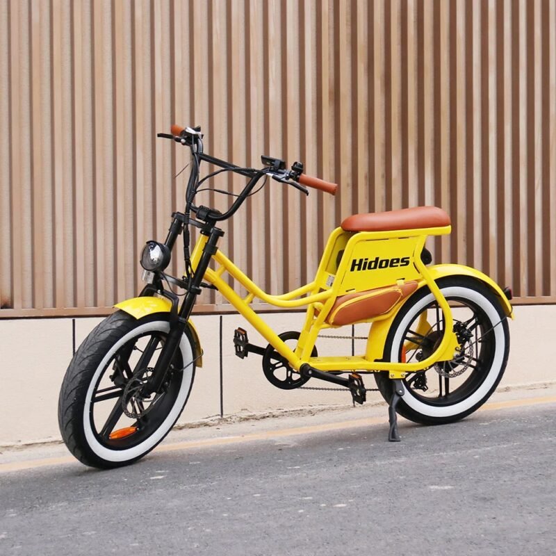 Hidoes C8 750W 20" Fat Bike 816Wh Electric Bike 48V 17AH Battery - Image 2