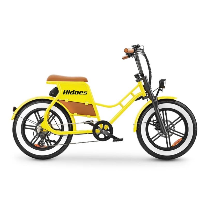 Hidoes C8 750W 20" Fat Bike 816Wh Electric Bike 48V 17AH Battery - Image 3