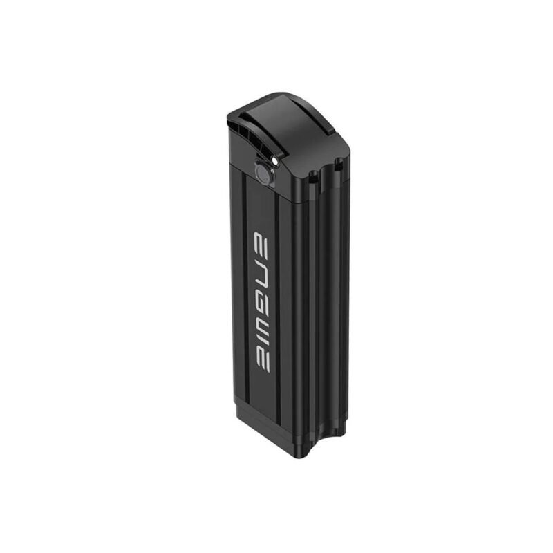 36V 15.6Ah Lithium Battery For Engwe L20 SE E Bike