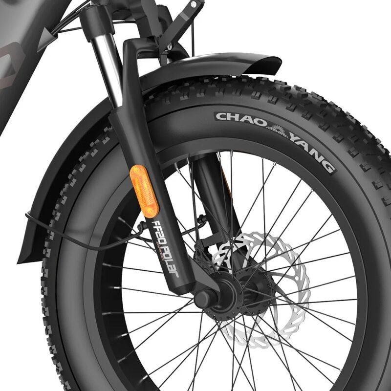 FAFREES FF20 Polar 20" Electric Fat Bike Dual Batteries L1e-B Certified Step-through E-bike - Image 4
