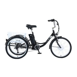 GOGOBEST GF100 350W 24" Elektro-Lastendreirad-E-Bike