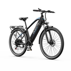 DUOTTS C29 Max 250W 29" Electric Mountain Bike